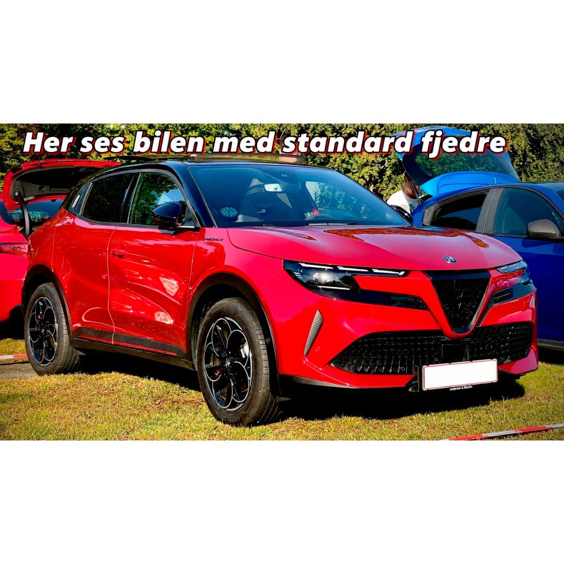 S�nknings fjedre Alfa Junior SUV ELETTRICA 54kWh/115kW/156HK 2024-Frem Uden T�V 35/30mm