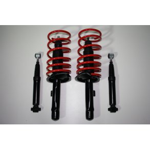 Peug. 206. 1,1-1,4-1,6. Sports-Undervogn ca. 40mm. 1998-2006