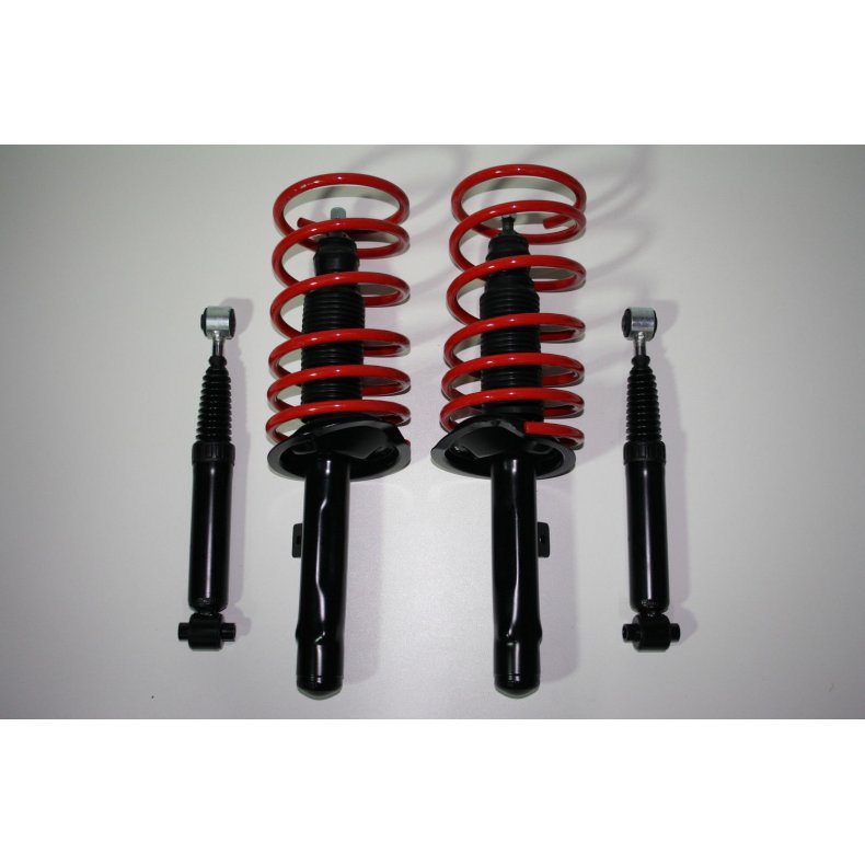 Peug. 206. 2,0 GTi+1,4 HDI/1,9D Sports-Undervogn ca. 40mm 1998-2006